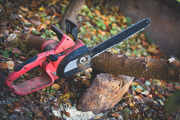Best Lawn Maintenance Plans  in Toftrees, PA